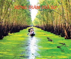 Mỹ Tho - Bến Tre - Châu Đốc - Rừng Tràm Trà Sư