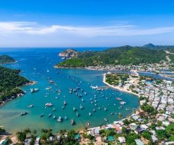 NINH CHỮ - VỊNH VĨNH HY