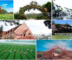 CAO NGUYÊN ĐÀ LẠT