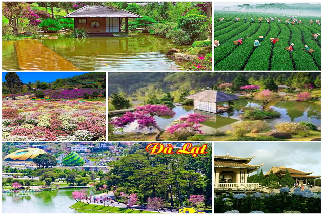 ĐÀ LẠT - XỨ SỞ THẦN TIÊN