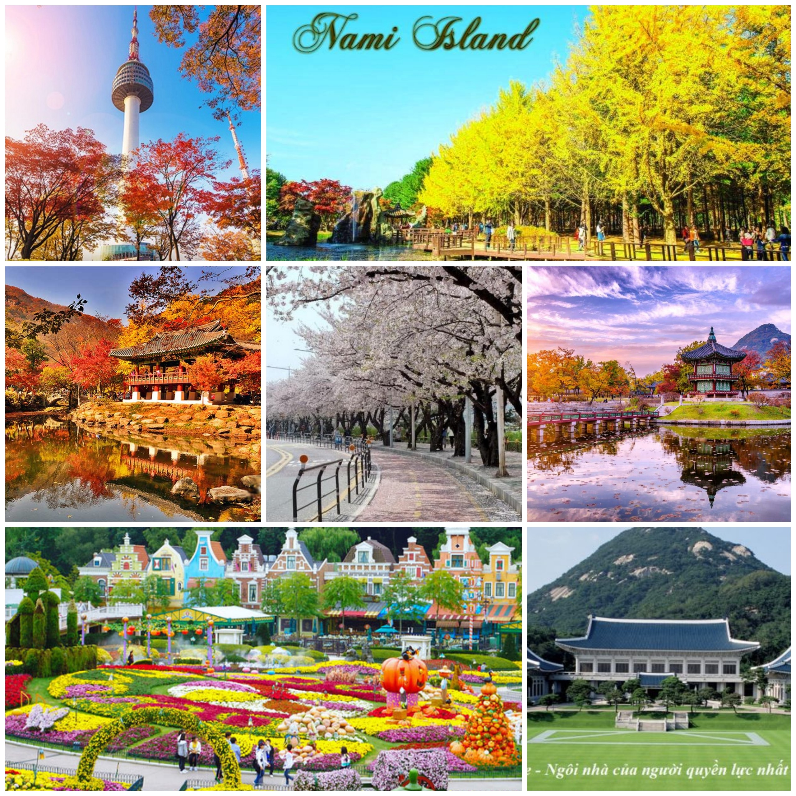 SEOUL – ĐẢO NAMI – EVERLAND – CÔNG VIÊN YEUIDO – THÁP NAMSAN