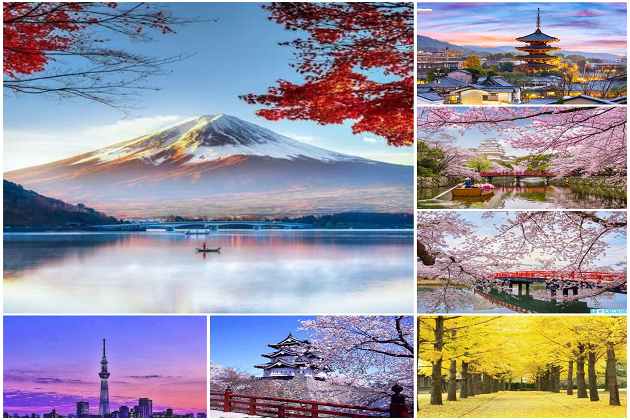 TOUR NHẬT BẢN - TOKYO - FUJI