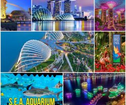 SINGAPORE – THIÊN ĐƯỜNG MUA SẮM
